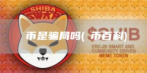 π币是骗局吗 - π币百科